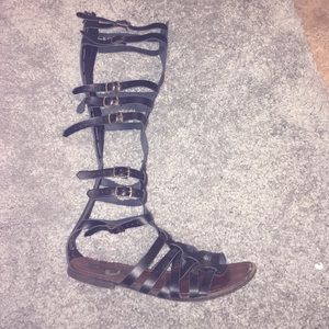 Steve Madden gladiator sandals