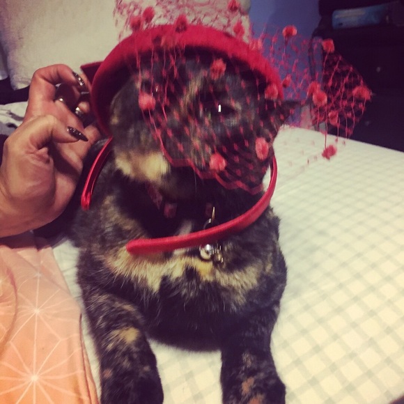 Hello my name is Michelle! :) - Picture 7 of 7