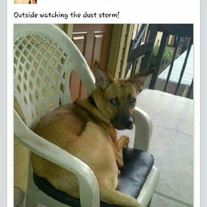 Meet your Posher, Angela