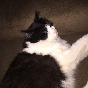 Meet your Posher, Cory