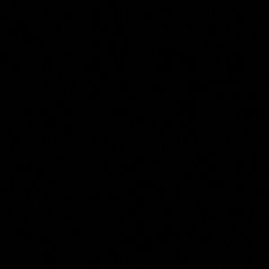 Meet your Posher, Yena