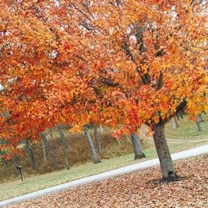 Meet your Posher, Jesse