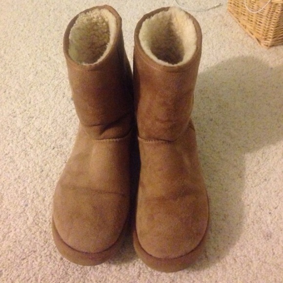 Short chestnut ugg boots