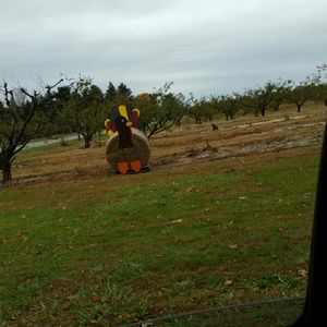 Meet your Posher, Kelley