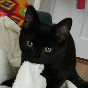 Meet your Posher, Amy