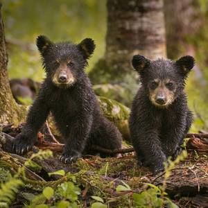 Meet your Posher, Tanya