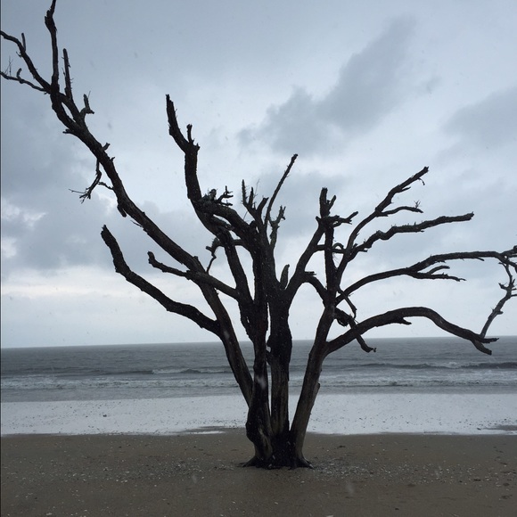 Meet your Posher, Samantha - Picture 1 of 1