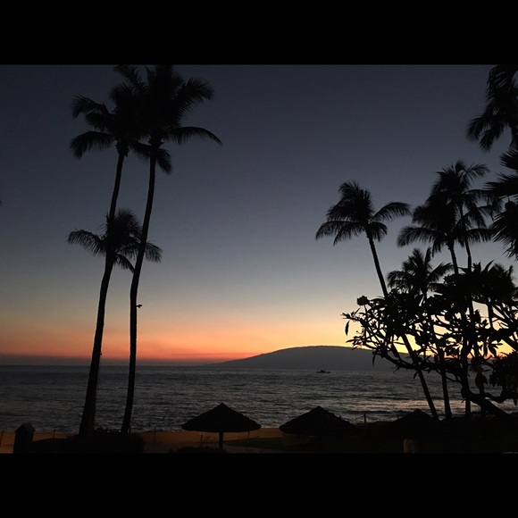 Meet your Posher, Frank - Picture 2 of 4