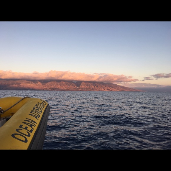 Meet your Posher, Frank - Picture 3 of 4