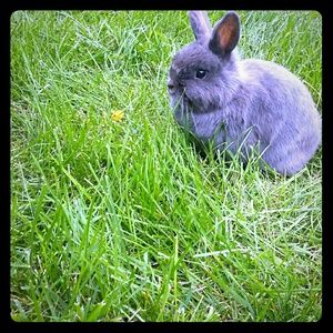 Meet your Posher, Sadie