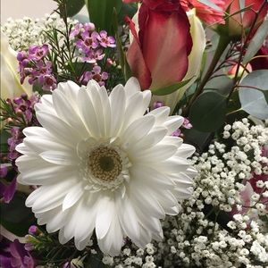 Meet your Posher, Norma