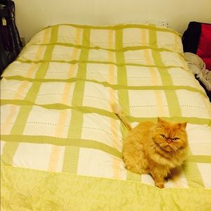 Meet your Posher, Vic