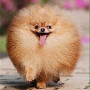 Meet your Posher, Janelle