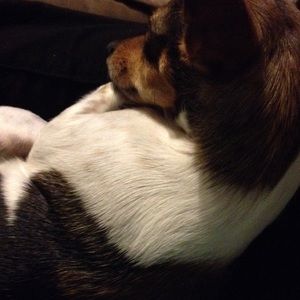 Meet your Posher, Candy