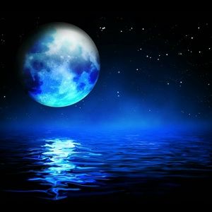 Meet your Posher, Leigha