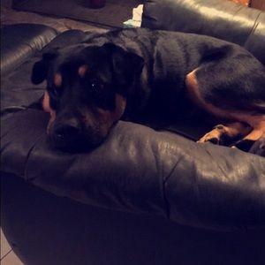 Meet your Posher, Liz