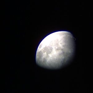 Meet your Posher, Diana