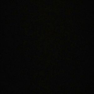 Meet your Posher, Warren