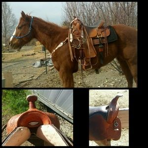 Saddle (horse tack)