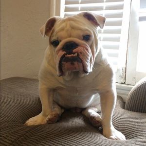 Meet your Posher, Rebecca