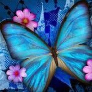 Meet your Posher, Deana