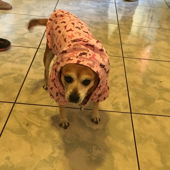 Dog jacket