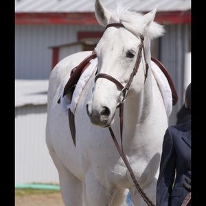 Meet your Posher, Jill