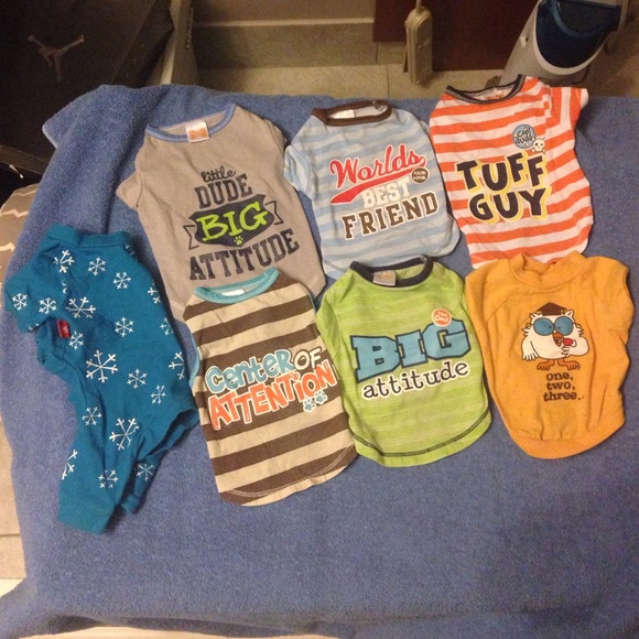 Small Dog Apparel