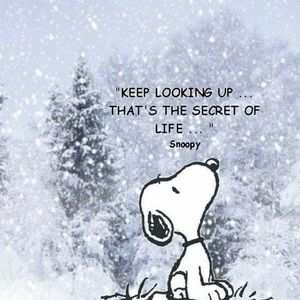 Meet your Posher, Gretchen