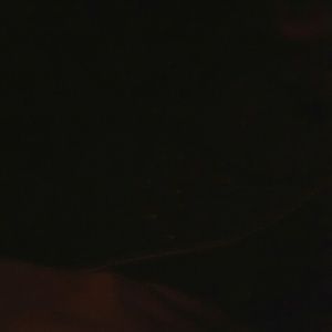 Meet your Posher, Javaris