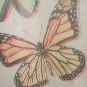 Meet your Posher, bamby