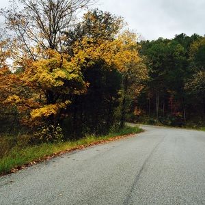 Meet your Posher, Paige