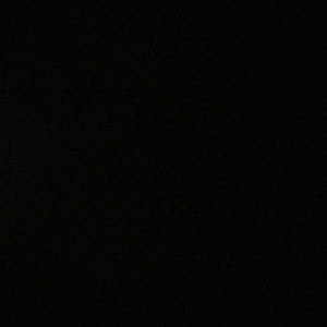 Meet your Posher, Ariel