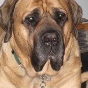 Meet your Posher, Sue