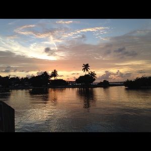 Meet your Posher, Gina