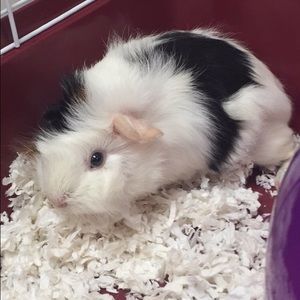 Meet your Posher, Jenna