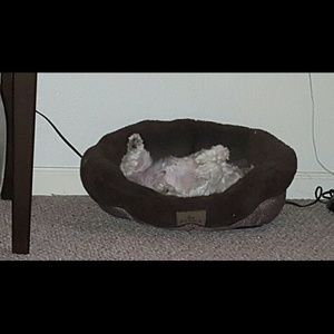 Meet your Posher, Kim