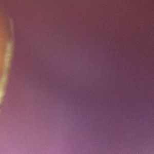 Meet your Posher, Phyllis