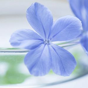 Meet your Posher, Maggie