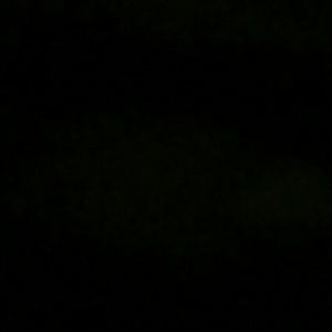 Meet your Posher, Ollie