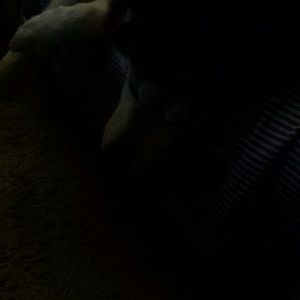 Meet your Posher, Melinda