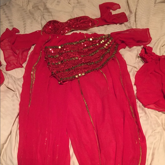 Belly dance/ genie costume