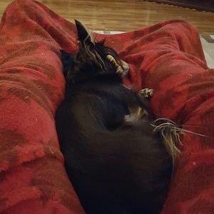 Meet your Posher, Stacee