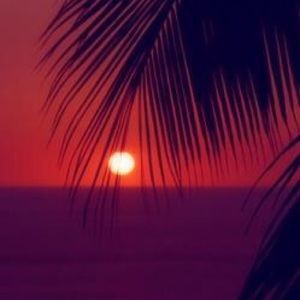 Meet your Posher, Hey