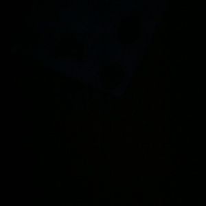 Meet your Posher, Sierra