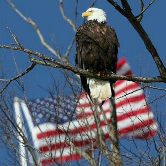 Meet your Posher, Tracy - Picture 1 of 1