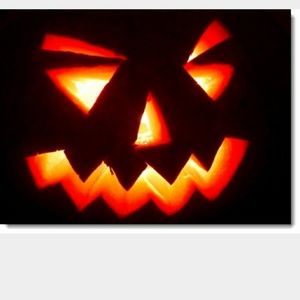 Meet your Posher, Hanna