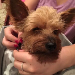 Meet your Posher, Sarah