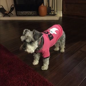 Meet your Posher, Dana