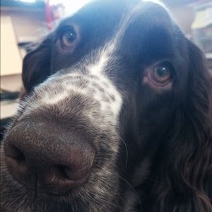 Meet your Posher, Sookyee